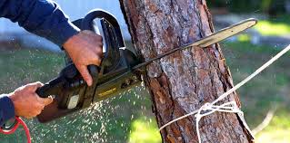 Best Lawn Mowing  in Garden City, NY
