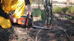 Best Lawn Grading and Leveling  in Garden City, NY