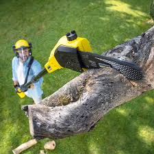 Best Emergency Tree Removal  in Garden City, NY