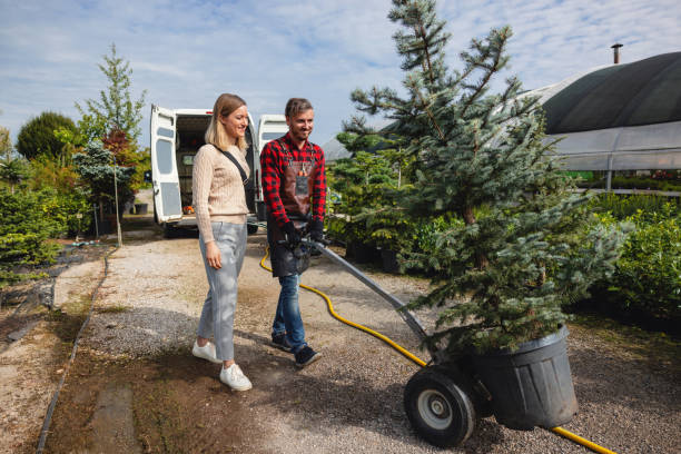 Best Tree Preservation Services  in Garden City, NY