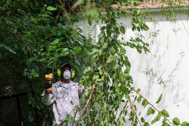 Best Tree Risk Assessment  in Garden City, NY